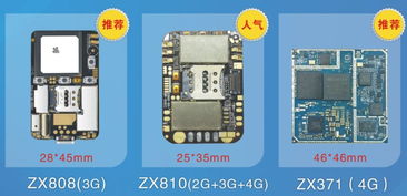 十年专注，领航未来 一家GPS电子宠物研发企业的创新之路